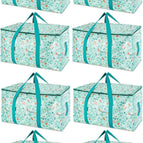 Spring Stroll / 8-Pack