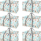 Mosaic / 6-Pack