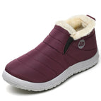Wine Red N / 40
